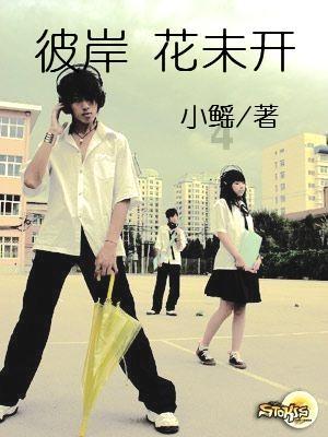 辐射4